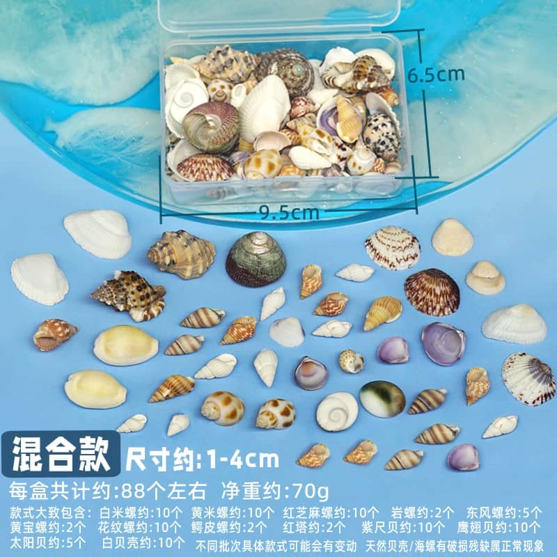 Coquillages Naturels