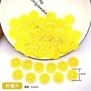 Mini Tranches de Fruits | Citron