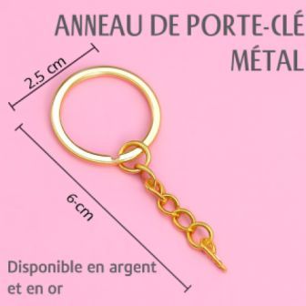 Anneau Porte-Clé Métal avec Chaînette et Vis